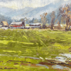 Before and After the Rain