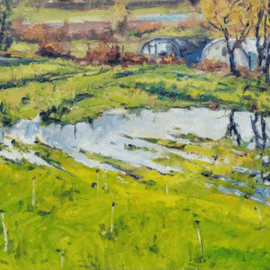 Farm Pond Reflections